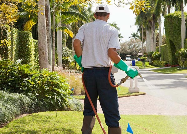 About White Oak GA Pest Control Pros